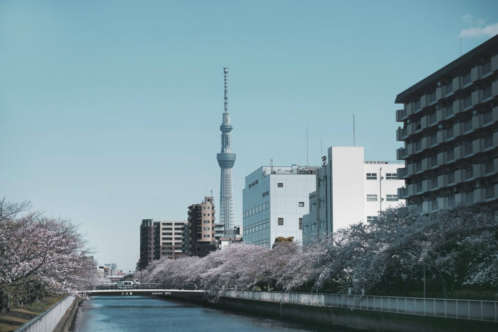 봄날의 일본 도쿄