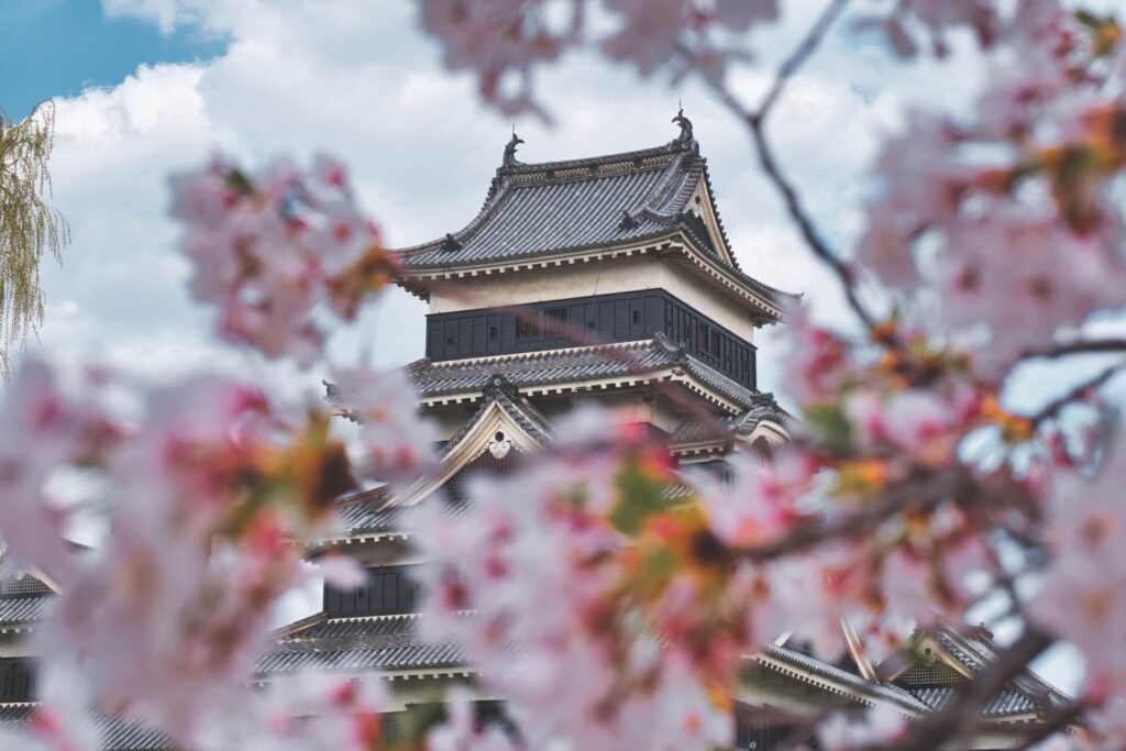 벚꽃과 일본성