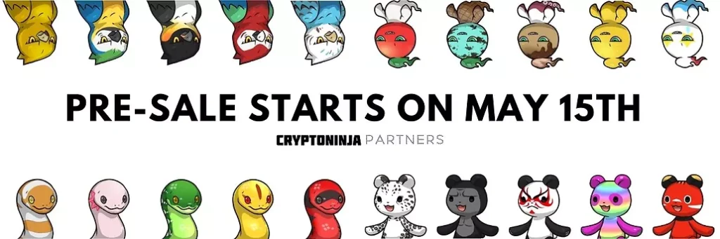 CryptoNinja Partners